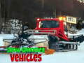 Гульня Snow Groomer Vehicles