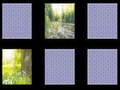 Гульня Nature Memory