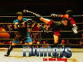 Гульня Fighters in the Ring