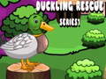Гульня Duckling Rescue Series1