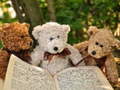 Гульня Cuddly Three Teddy Jigsaw
