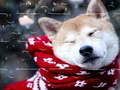 Гульня Winter Pets Puzzle