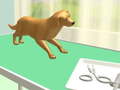 Гульня Paw Care