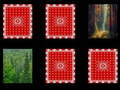 Гульня Forest memory