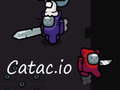 Гульня Catac.io