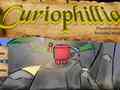 Гульня Сuriophillia