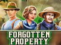Гульня Forgotten Property