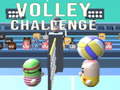 Гульня Volley Challenge
