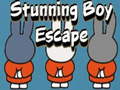 Гульня Stunning Boy Escape
