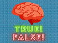 Гульня True! False! 