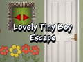Гульня Lovely Tiny Boy Escape