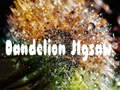 Гульня Dandelion Jigsaw
