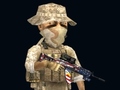 Гульня Rush Team