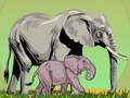 Гульня Wild Animals and Their Babies