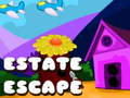 Гульня Estate Escape