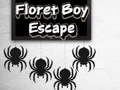 Гульня Floret Boy Escape