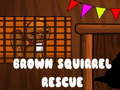 Гульня Brown Squirrel Rescue