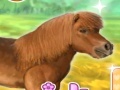 Гульня My Dear Pony