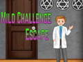 Гульня Amgel Mild Challenge Escape