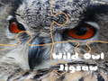 Гульня Wild owl Jigsaw