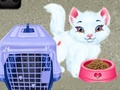 Гульня Baby Taylor Pet Care