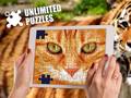 Гульня Unlimited Puzzles