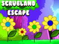 Гульня Scrubland Escape