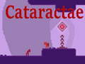 Гульня Cataractae