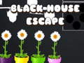 Гульня Black House Escape