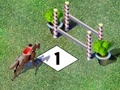 Гульня Competition jump