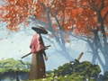 Гульня Samurai Reflexion