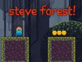 Гульня Steve Forest