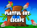 Гульня Playful Boy Escape