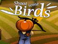 Гульня Shoot Some Birds
