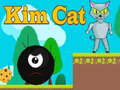 Гульня Kim Cat