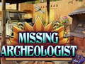 Гульня Missing Archeologist