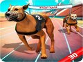 Гульня Crazy Dog Race