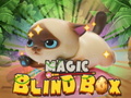 Гульня Magic Blind Box