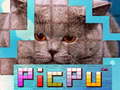 Гульня PicPu Cat 
