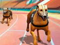 Гульня Dogs3D Races