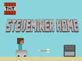 Гульня Steveminer Home
