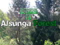 Гульня Return To Alsunga Forest