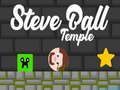 Гульня Steve Ball Temple