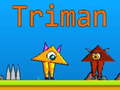 Гульня Triman