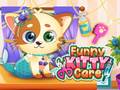 Гульня Funny Kitty Care