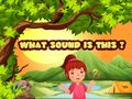 Гульня What Sound Is This?