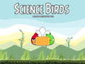 Гульня Science Birds