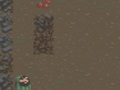 Гульня The Survival