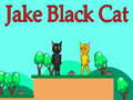 Гульня Jake Black Cat