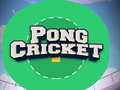 Гульня Pong Cricket